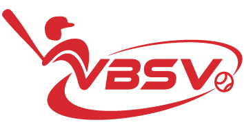 VBSV Office